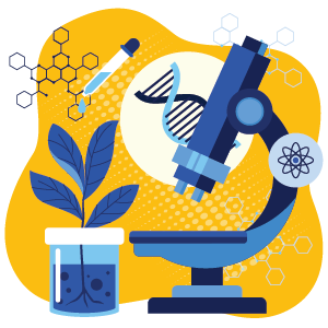 Program Image