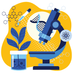 Program Image